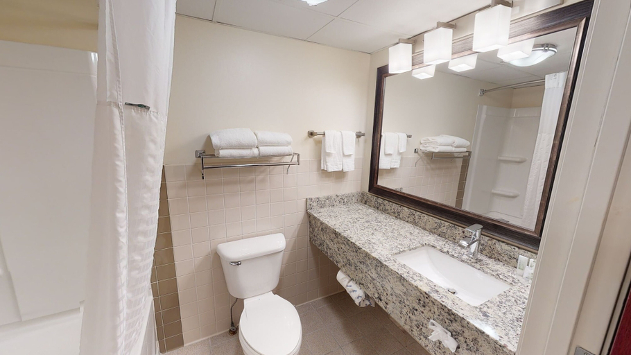 Bathroom 4, AmericInn by Wyndham Mounds View Minneapolis, Ramsey