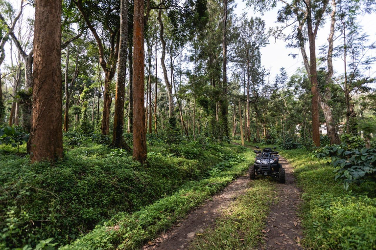 Others 5, Tusker Trail, Kodagu