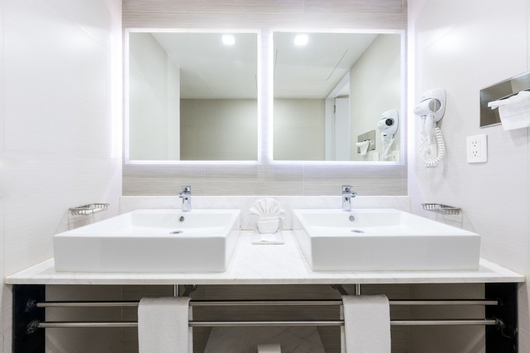 Bathroom 4, Hotel Casa Blanca, Mexico City