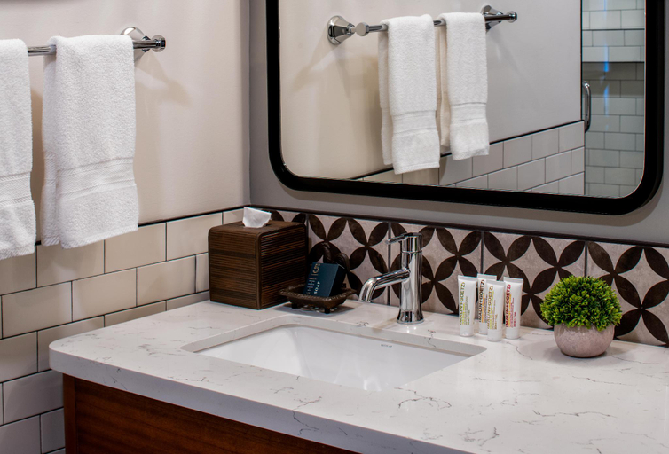 Bathroom, The Last Hotel, Saint Louis