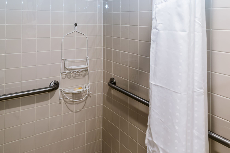 Bathroom 4, Holiday Inn Express BIG RAPIDS by IHG, Mecosta