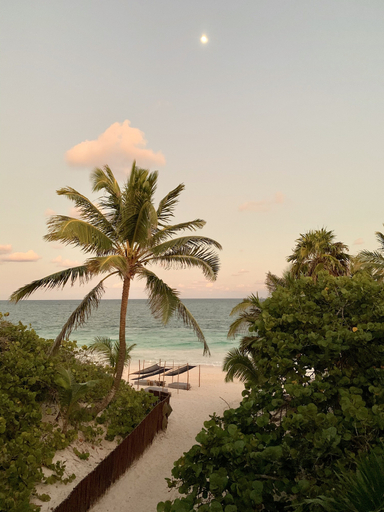 Others 3, Libelula Tulum Beachfront Hotel, Cozumel