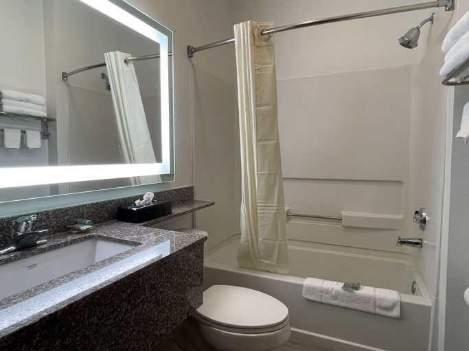 Bathroom 4, Best Western Roanoke Inn & Suites, Denton