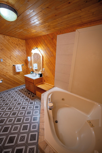Bathroom 3, Estes Mountain Inn, Larimer