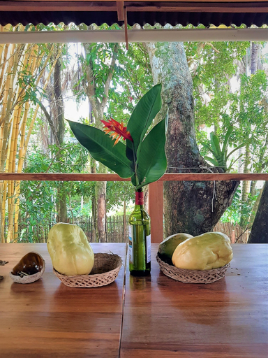 Food & Drinks, Puqio Ecolodge, San Martín