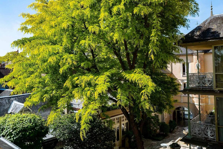 Exterior & Views 2, Grand Hotel du Lion d'Or, Loir-et-Cher