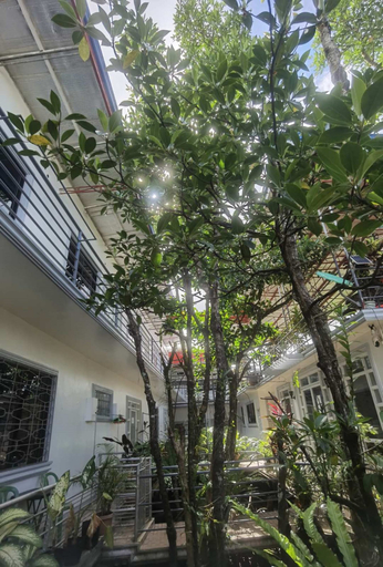 Exterior & Views 2, Lao Singuan Homestay powered by Cocotel, Del Carmen