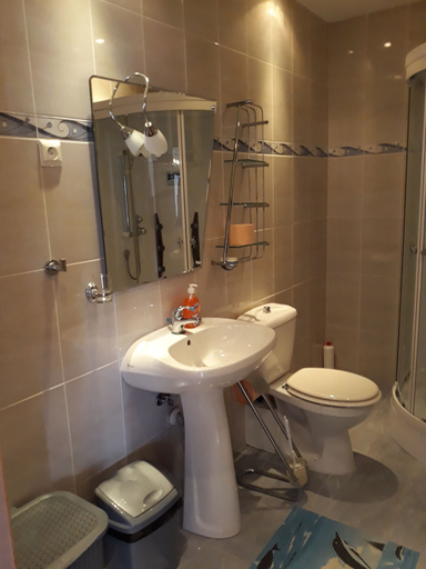 Bathroom, Penthouse Apartament Nufărul Oradea, Oradea