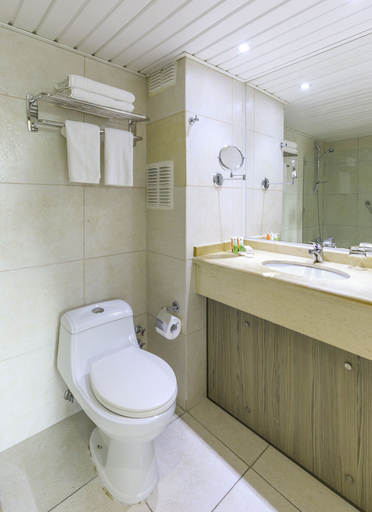 Bathroom 4, Hotel Frontera Plaza, Cautín