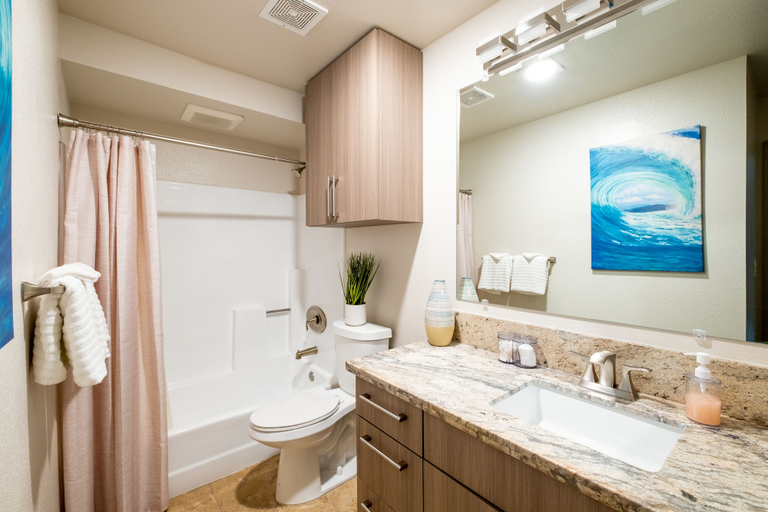Bathroom 2, La Jolla UTC 206, San Diego