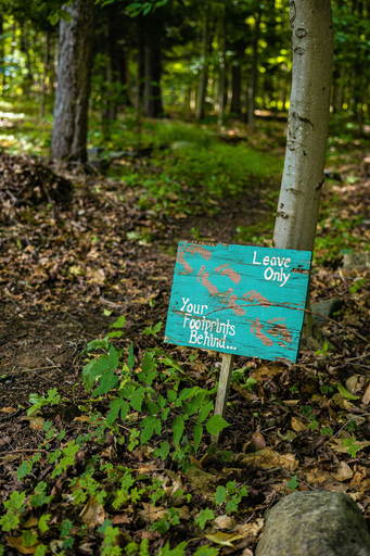 Others 4, The Dax Lodge and Cabins, Franklin