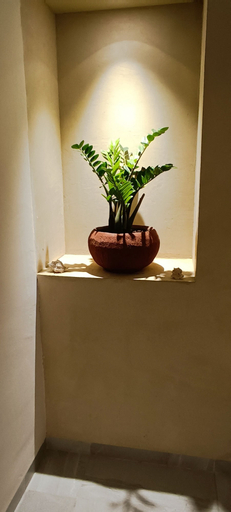 Bathroom 4, Hotel Y Restaurante Yaxactun, Progreso