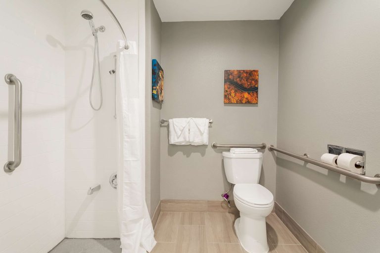 Bathroom 4, Best Western Plus Cleveland Inn & Suites, Bradley