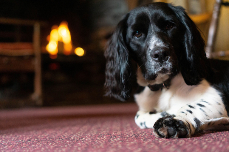 Others 4, Duke of York, Devon
