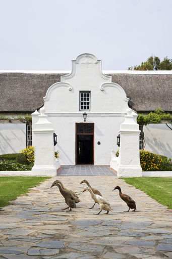 Exterior & Views 2, Vergenoegd Löw Boutique Hotel & Spa, City of Cape Town