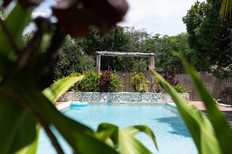 Sport & Beauty 3, Kuwa Zanzibar, Kaskazini 'B'