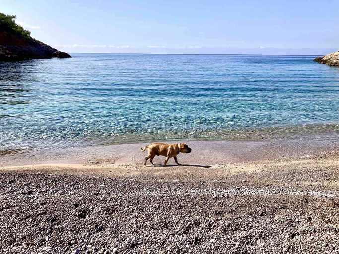 Others 5, Chios Cozy studio Island Getaway, North Aegean