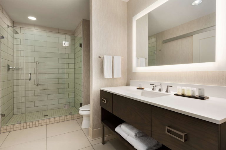 Bathroom 3, Embassy Suites by Hilton San Antonio Brooks Hotel & Spa, Bexar