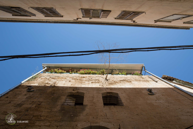 Exterior & Views 2, Michel House