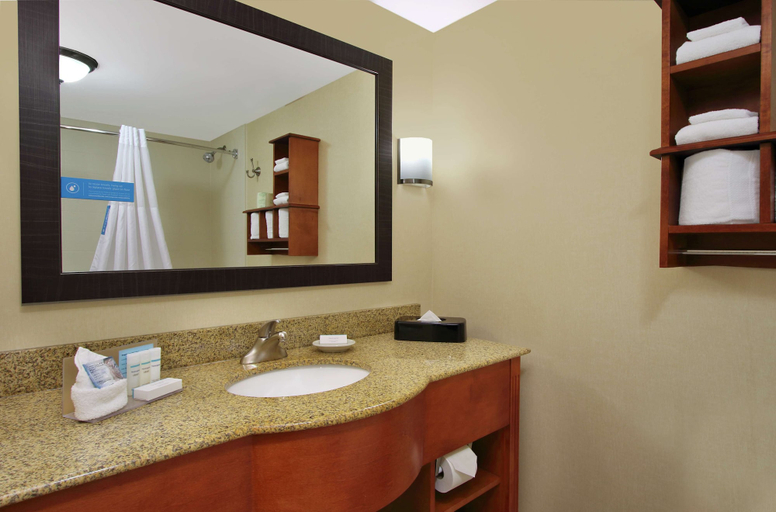 Bathroom 4, Hampton Inn Ashtabula, Ashtabula