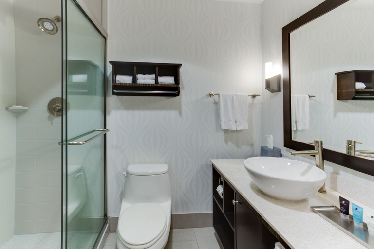Bathroom, Crowne Plaza FT. LAUDERDALE AIRPORT/CRUISE by IHG, Broward