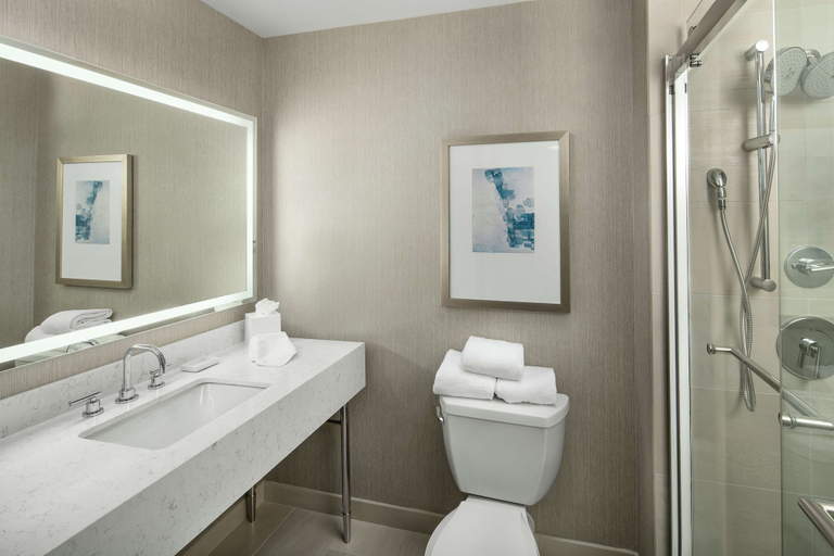 Bathroom 5, Hilton Boston Logan Airport, Boston