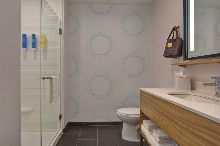 Bathroom 4, Tru By Hilton St. Petersburg Downtown Central Ave, FL, Pinellas