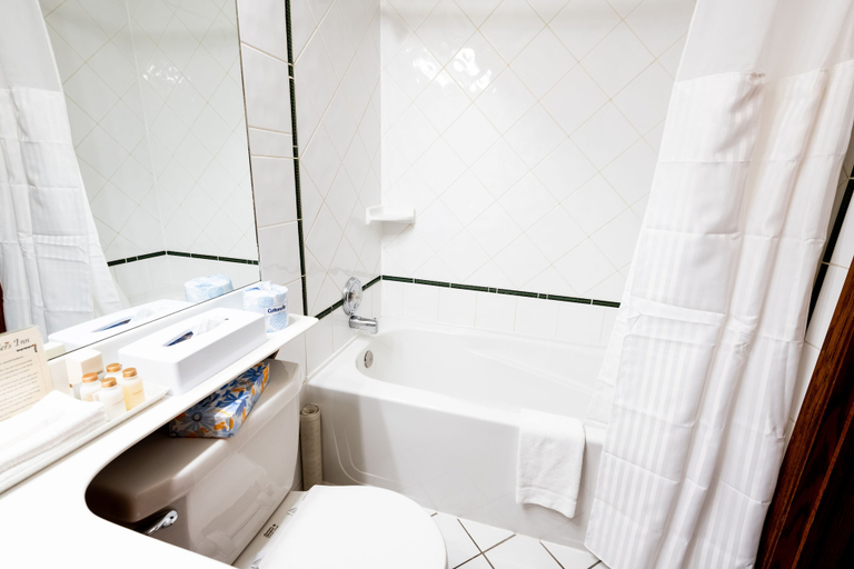Bathroom 4, Whistlers Inn, Division No. 15