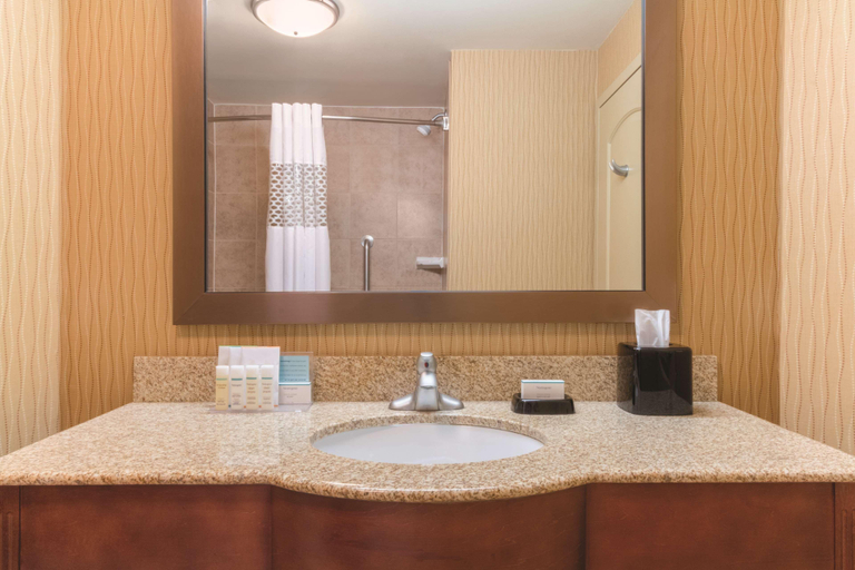 Bathroom 4, Hampton Inn by Hilton Edmonton, Division No. 11