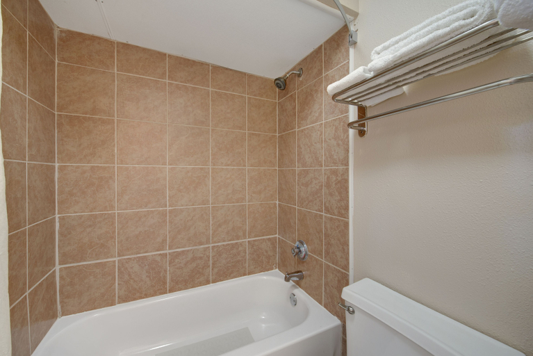 Bathroom 4, Howdy Hotel, Brazos