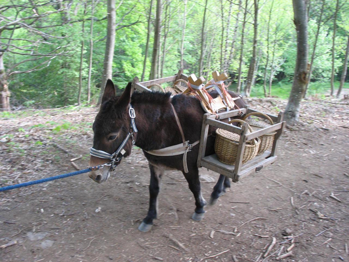 Others 5, Les cabanes de Labrousse, Ardèche