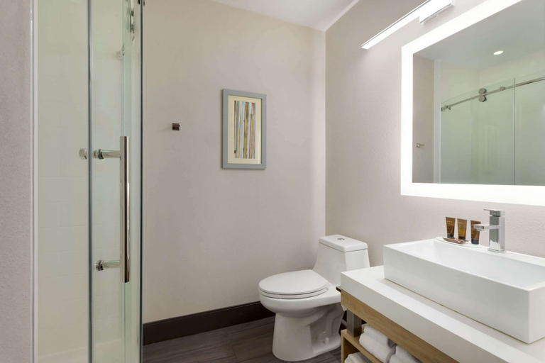 Bathroom 4, Wingate by Wyndham Murfreesboro Near MTSU, Rutherford
