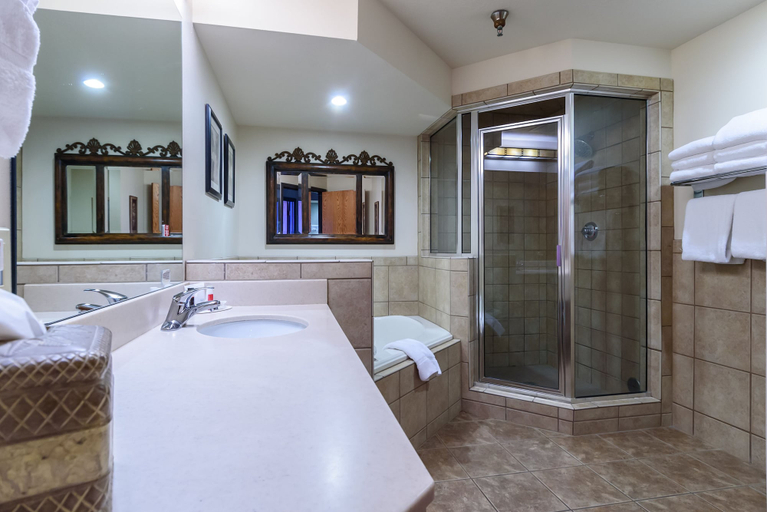 Bathroom 4, Ramada by Wyndham Sioux Falls Airport-Waterpark & Event Ctr, Minnehaha
