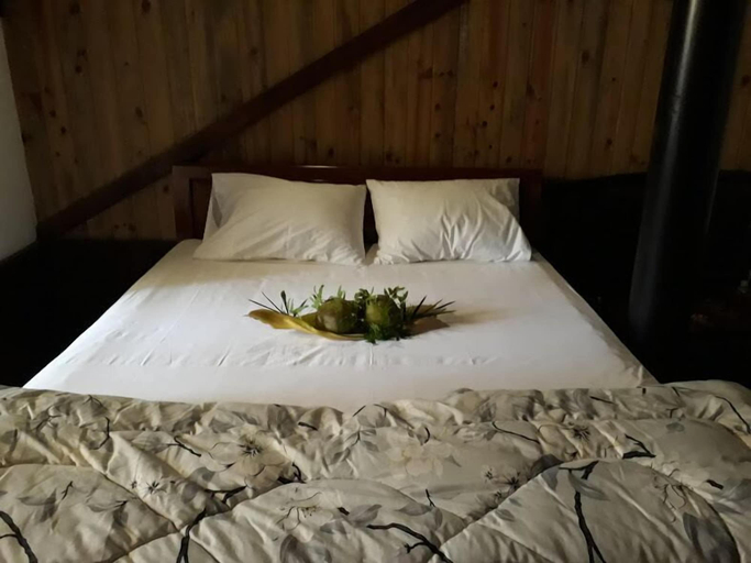 Bedroom 3, Thuy Bieu Homestay, Huế