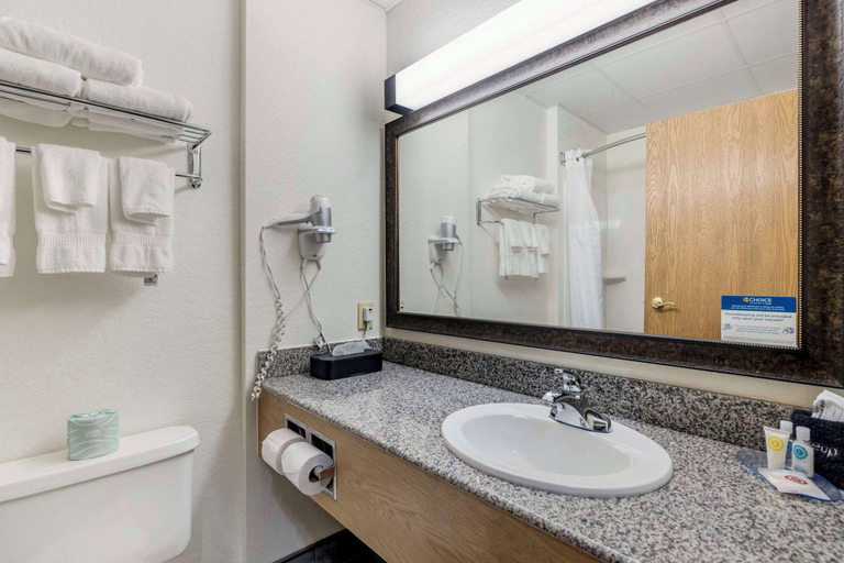 Bathroom 3, Comfort Inn & Suites Mt. Rushmore, Pennington