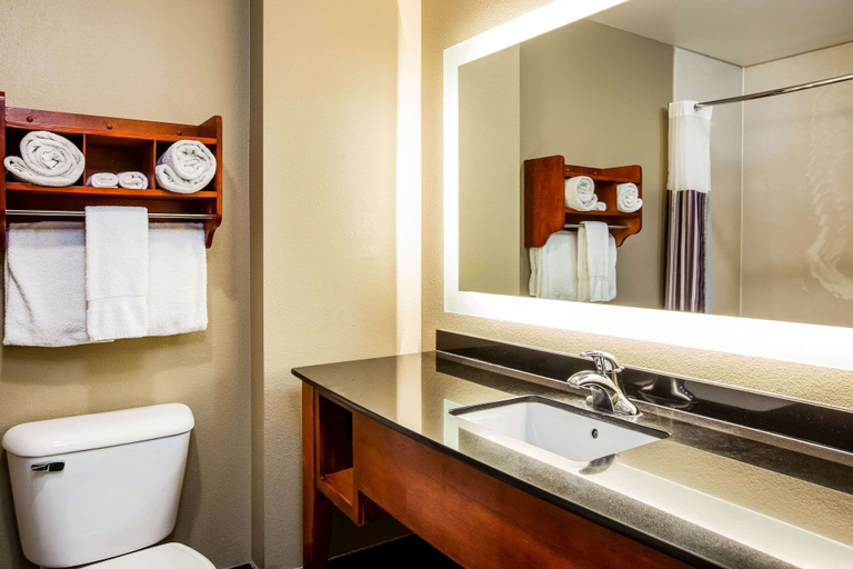 Bathroom 4, La Quinta Inn & Suites by Wyndham North Platte, Lincoln