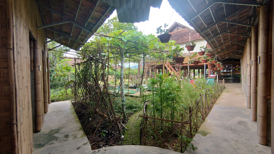 Others 4, MUONG PHANG HOMESTAY, Điện Biên