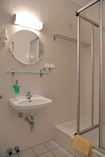 Bathroom 5, Pension Gasthof und Hotel Roter Hirsch, Mittelsachsen