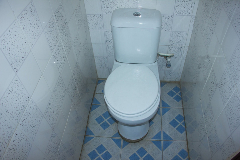 Bathroom 4, David Royal Suites, Kosofe