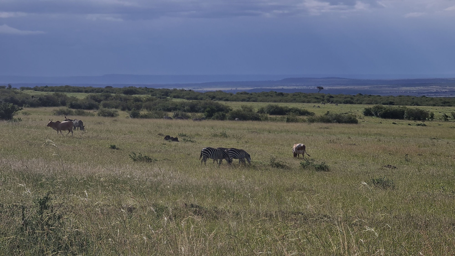Others 2, Amanya Sunset Star Bed Masai Mara, Narok West