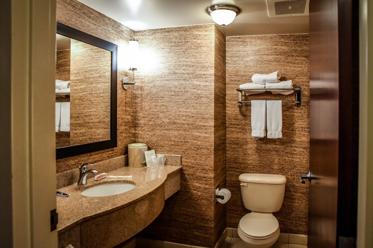 Bathroom 4, Holiday Inn Express & Suites CONCORD by IHG, Cabarrus