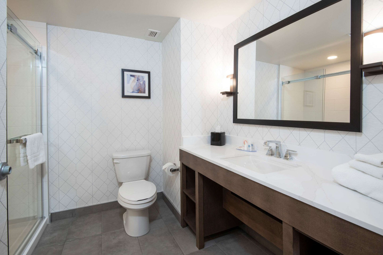 Bathroom 4, Comfort Inn & Suites, Lanark