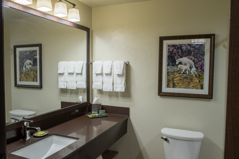 Bathroom 4, Cedar Creek Lodge and Conference Center, Flathead