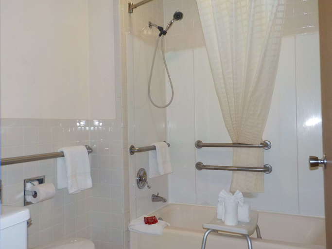 Bathroom 4, SureStay Hotel by Best Western Greenville, Bond