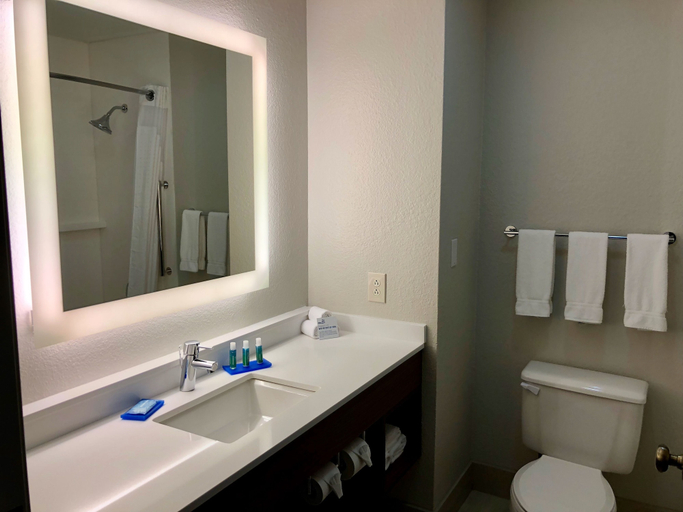 Bathroom 4, Holiday Inn Express Arlington by IHG, Arlington