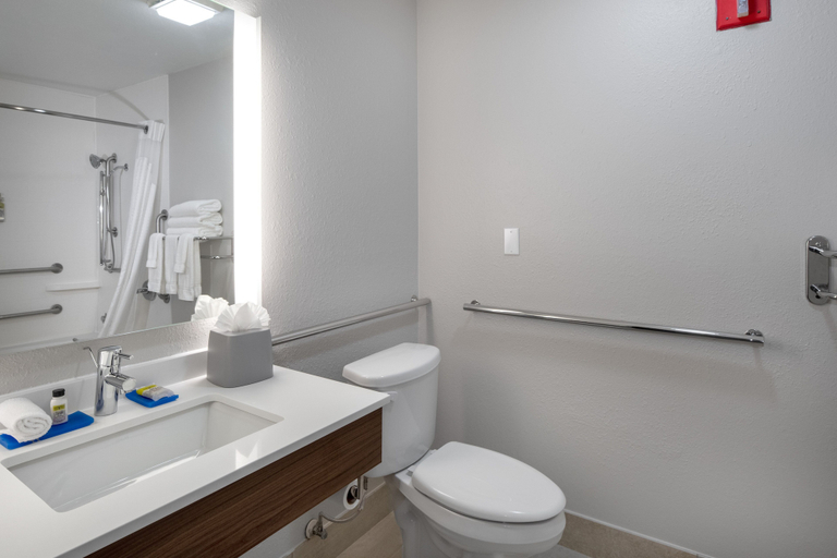 Bathroom 3, Holiday Inn Express Arlington by IHG, Arlington