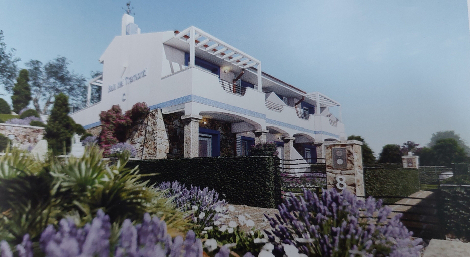 Primary image