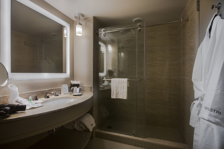 Bathroom 5, Westin Tampa Downtown Waterside, Hillsborough