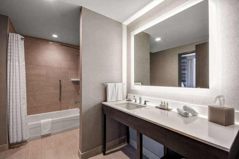 Bathroom 4, Embassy Suites by Hilton Jonesboro Red Wolf Convention Center, Craighead