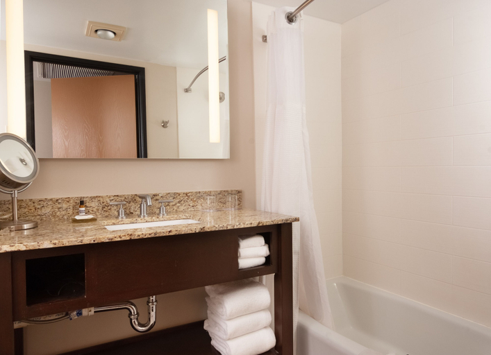 Bathroom 4, Hyatt Regency Green Bay, Brown